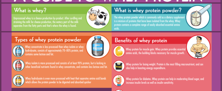 Guide To Whey F