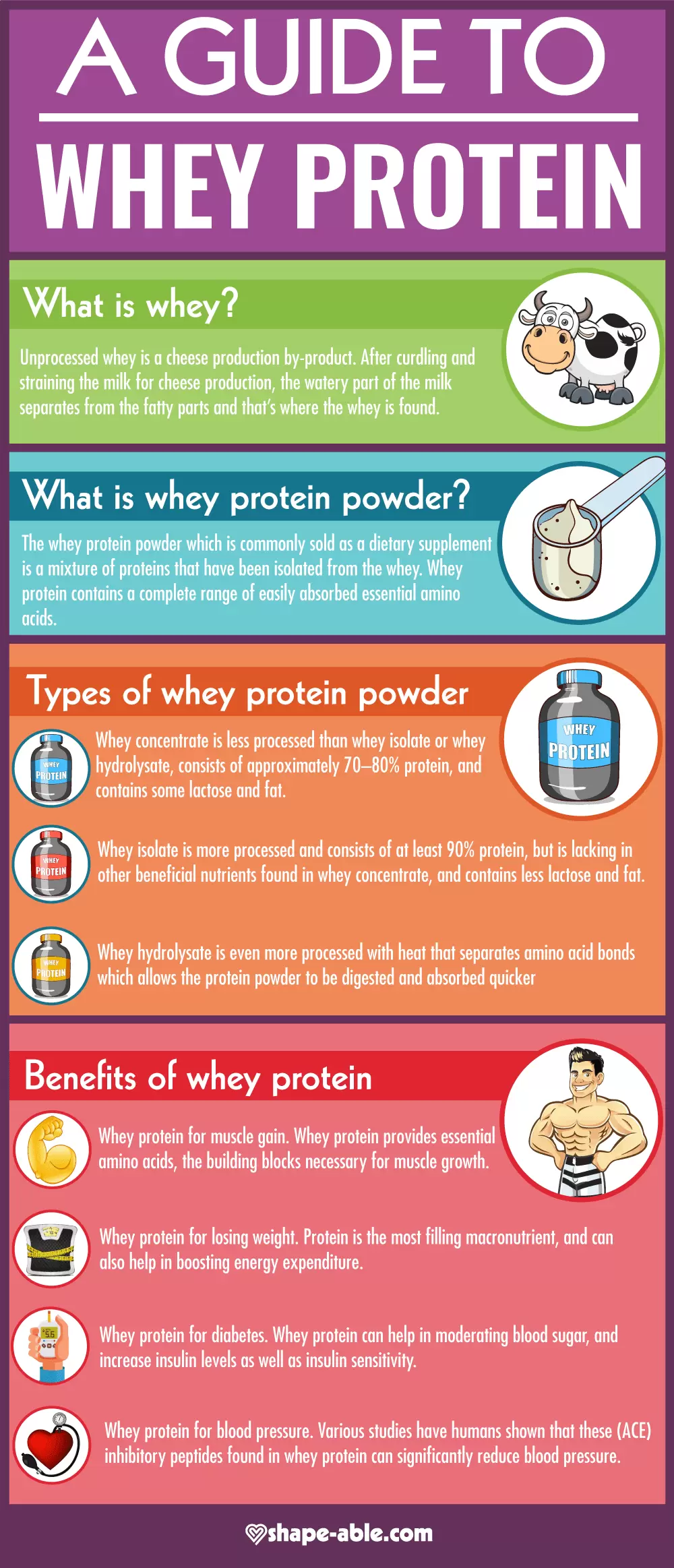 Guide To Whey Protein