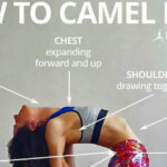 Camel Pose Benefits F