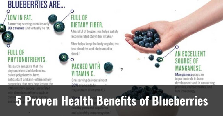 5 Proven Health Benefits Of Blueberries