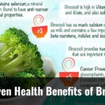 5 Proven Health Benefits Of Broccoli