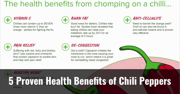 5 Proven Health Benefits Of Chili Peppers