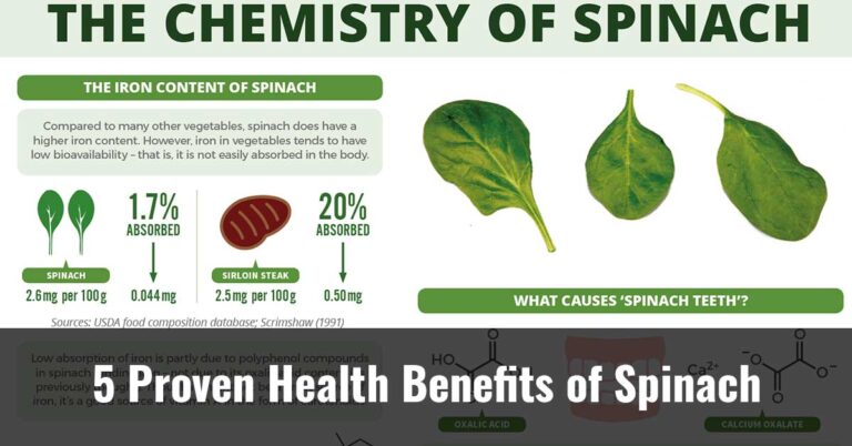 5 Proven Health Benefits Of Spinach