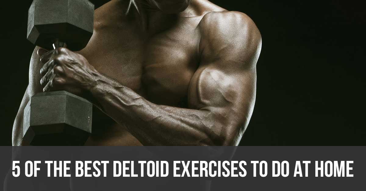 5 of the Absolute best Deltoid Workouts to Do at House