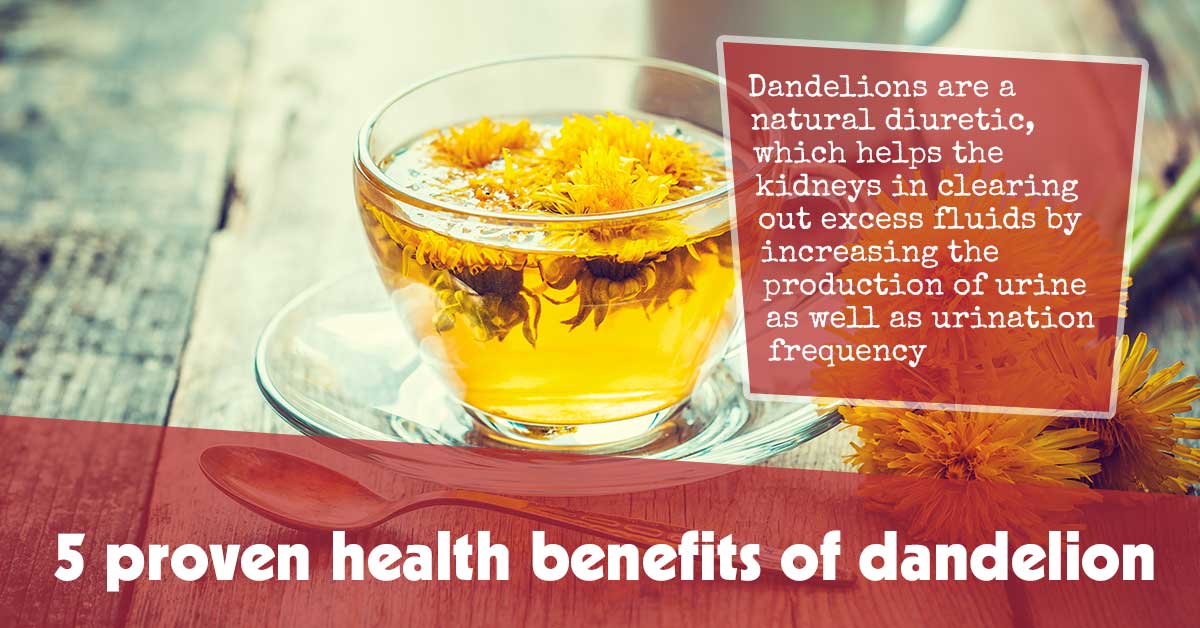 5 Proven Health Benefits Of Dandelion F