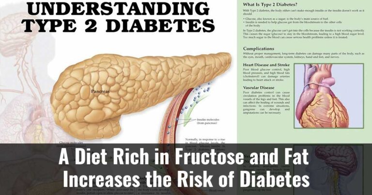 A Diet Rich In Fructose And Fat Increases The Risk Of Diabetes