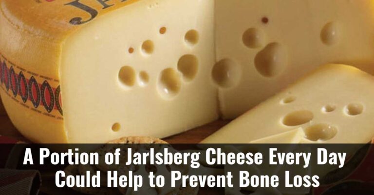 A Portion Of Jarlsberg Cheese Every Day Could Help To Prevent Bone Loss