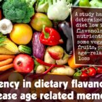 A Deficiency In Dietary Flavanols Can Increase Age Related Memory Loss