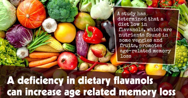 A Deficiency In Dietary Flavanols Can Increase Age Related Memory Loss