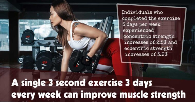 A Single 3 Second Exercise 3 Days Every Week Can Improve Muscle Strength F