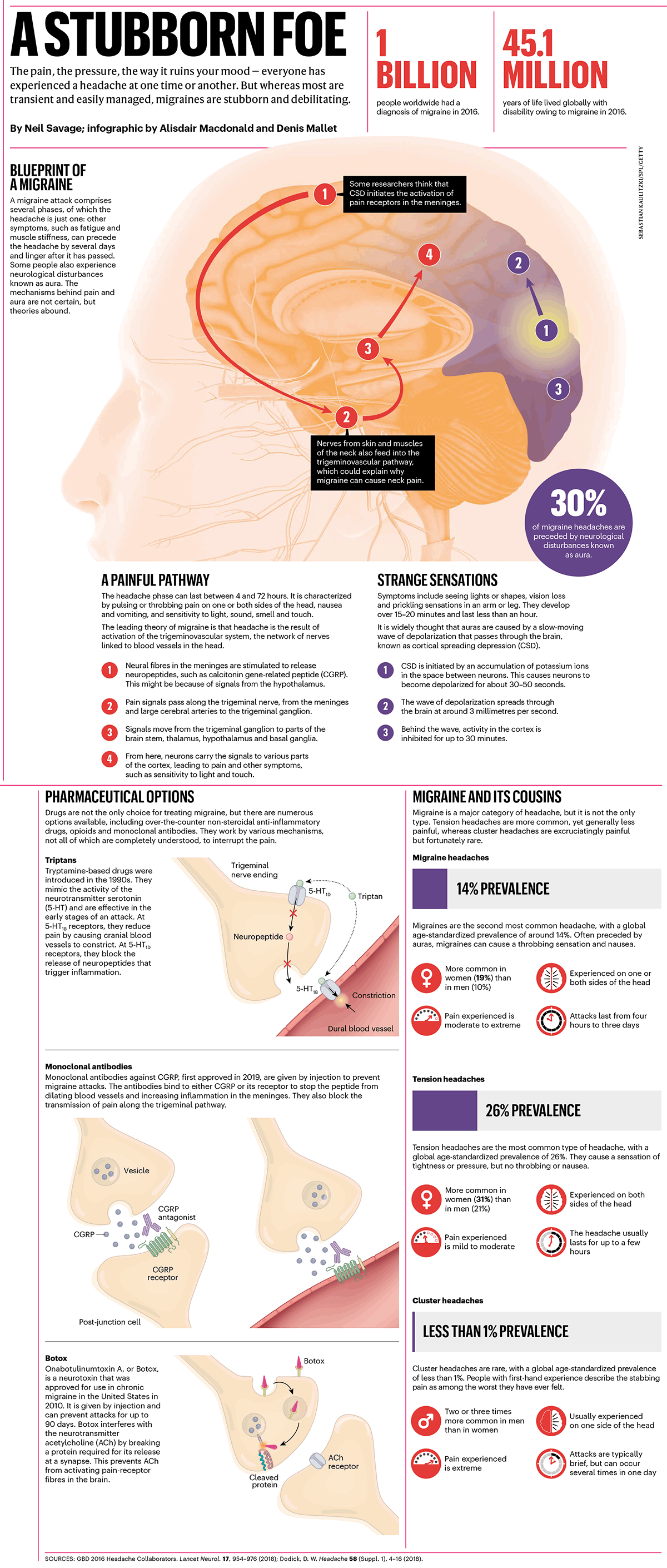 A Visual Guide To Migraine Headaches Infographic