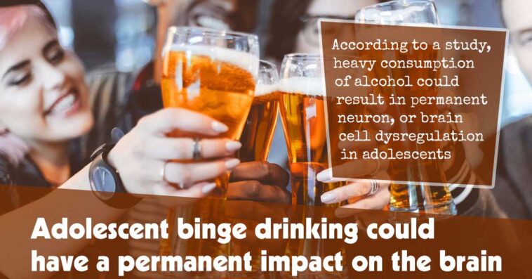 Adolescent Binge Drinking Could Have A Permanent Impact On The Brain F