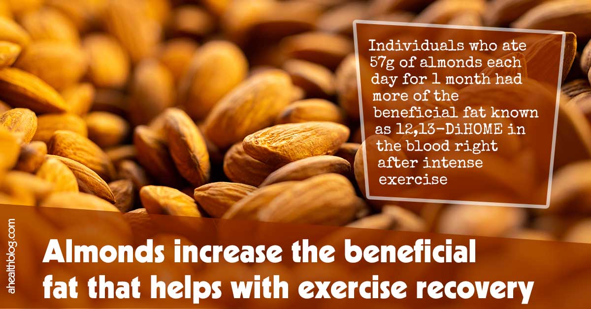 Almonds Increase the Beneficial Fat That Helps With Exercise Recovery