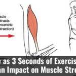 As Little As 3 Seconds Of Exercise A Day Has An Impact On Muscle Strength