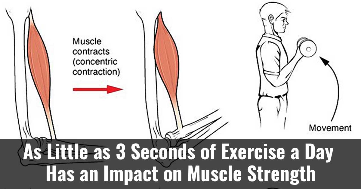 As Little As 3 Seconds Of Exercise A Day Has An Impact On Muscle Strength