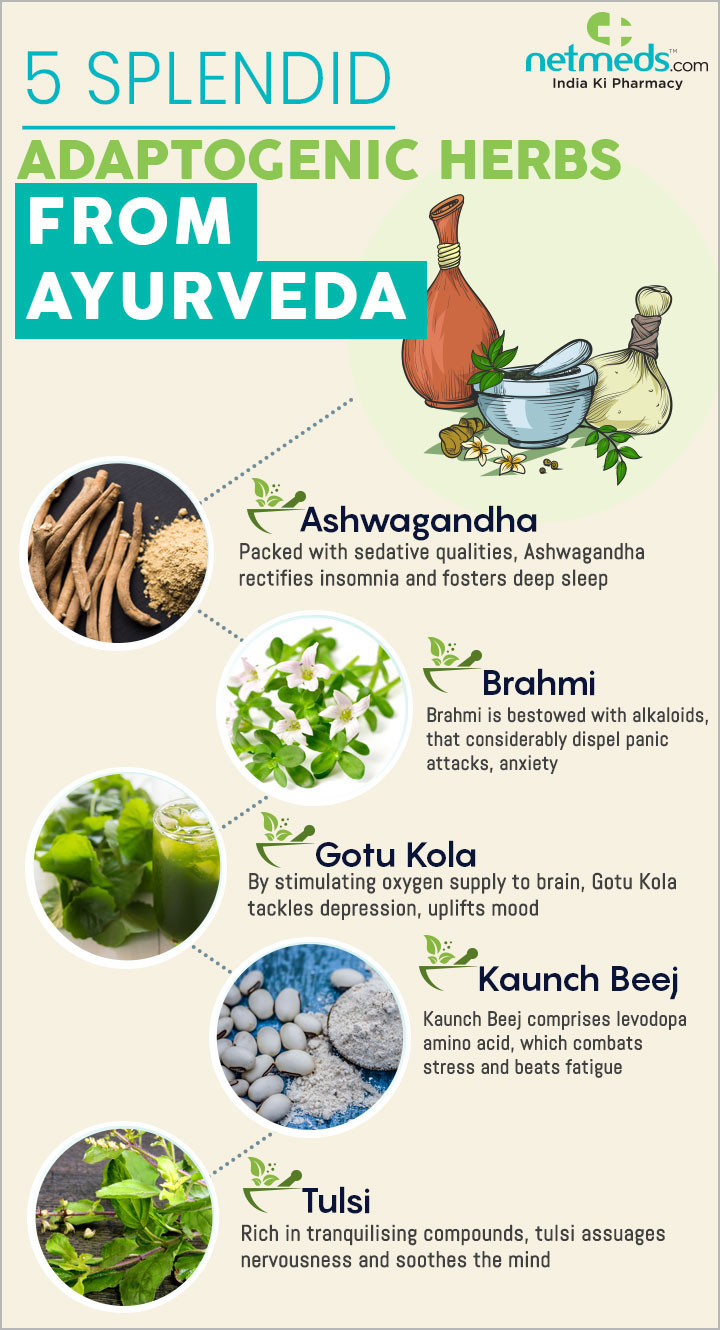 Ayurvedic Herbs Infographic