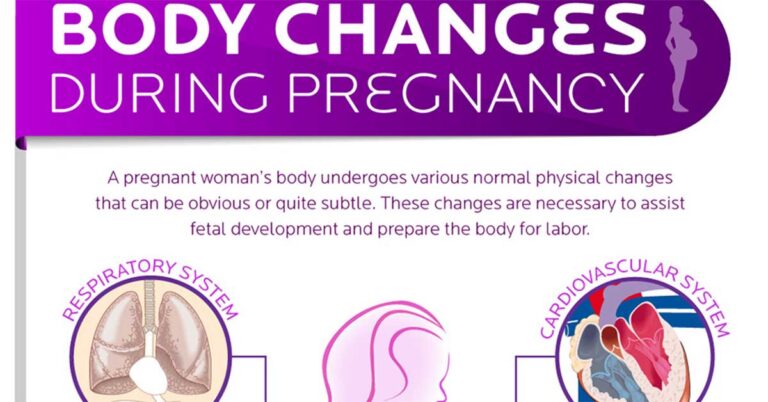 Body Changes During Pregnancy Infographic F