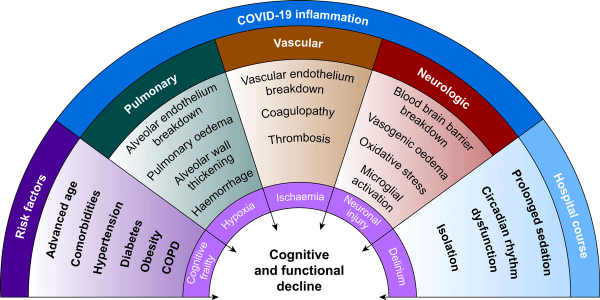 Covid 19 Cognitive Impairment Infographic
