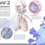 Cannabinoid Acids Found In Hemp Prevent Coronavirus From Entering Cells F