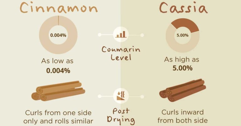 Cinnamon Vs Cassia Infographic F