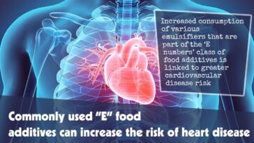 Commonly Used E Food Additives Can Increase The Risk Of Heart Disease F