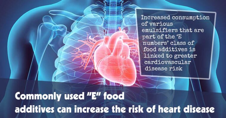 Commonly Used E Food Additives Can Increase The Risk Of Heart Disease F