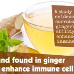 Compound Found In Ginger Helps To Enhance Immune Cell Activity