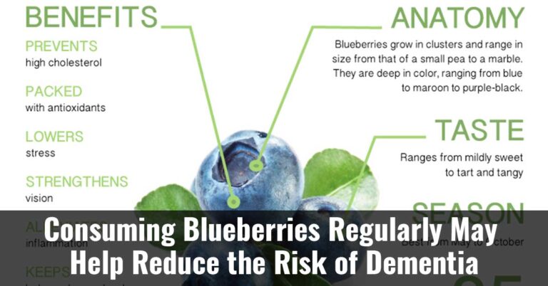 Consuming Blueberries Regularly May Help Reduce The Risk Of Dementia