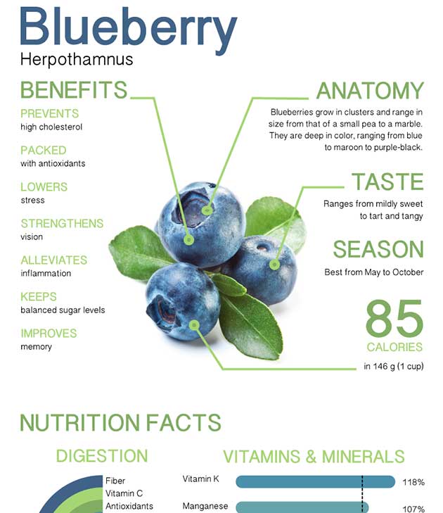 Consuming Blueberries Regularly May Help Reduce The Risk Of Dementia F2