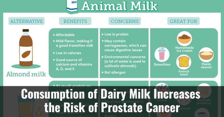 Consumption Of Dairy Milk Increases The Risk Of Prostate Cancer
