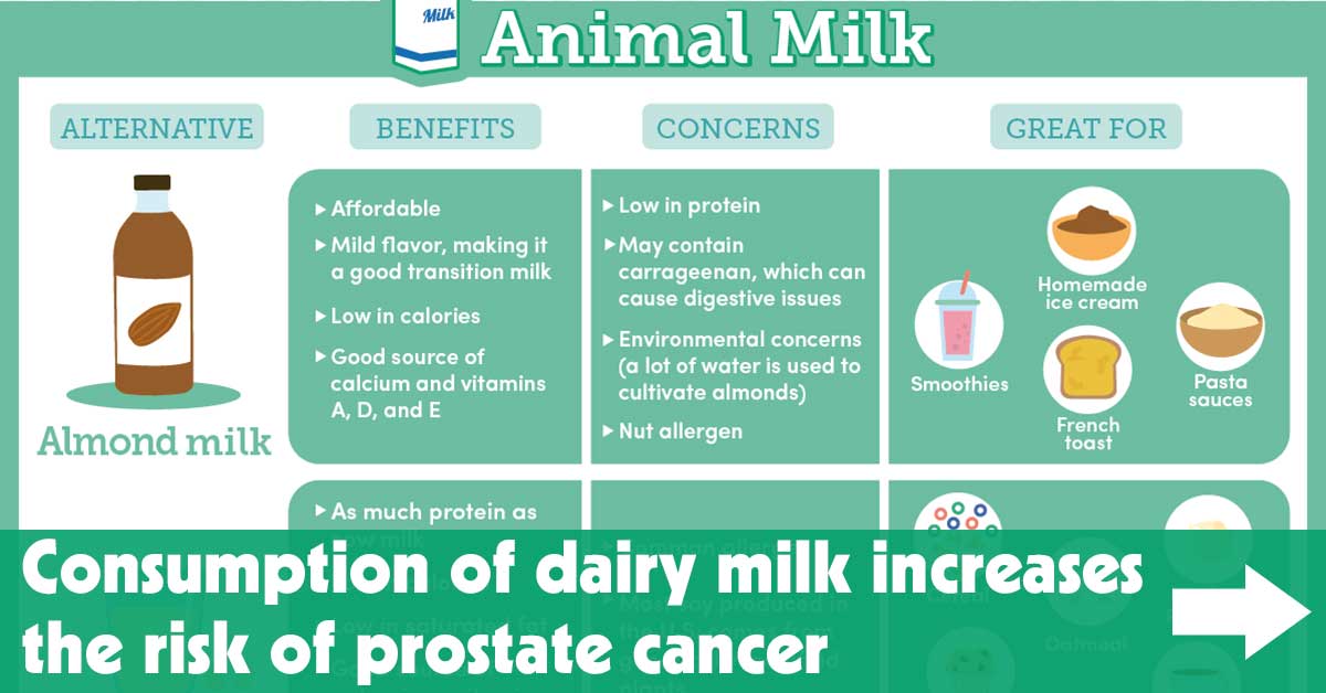 Usage of Dairy Milk Will increase the Threat of Prostate Most cancers