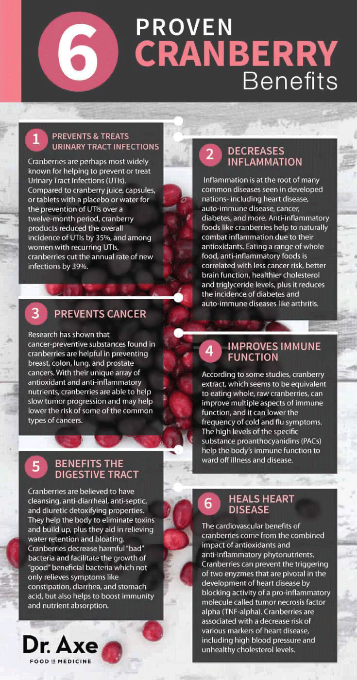 Cranberry Benefits Infographic