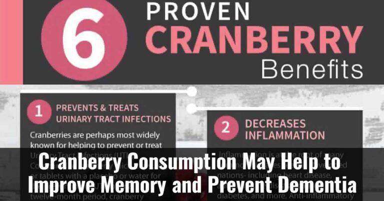 Cranberry Consumption May Help To Improve Memory And Prevent Dementia