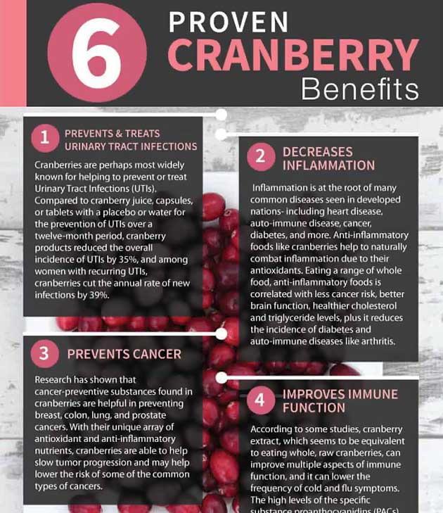 Cranberry Consumption May Help To Improve Memory And Prevent Dementia F2