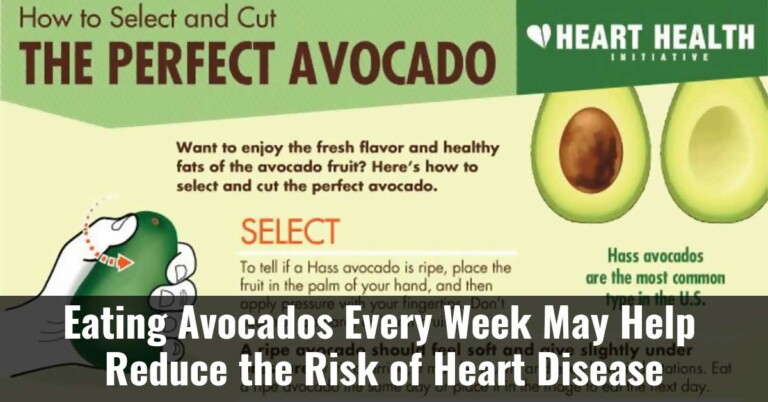 Eating Avocados Every Week May Help Reduce The Risk Of Heart Disease