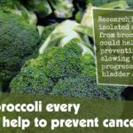 Eating Broccoli Every Day Can Help To Prevent Cancer