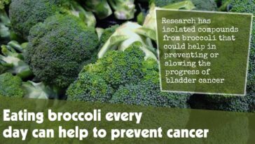 Eating Broccoli Every Day Can Help To Prevent Cancer