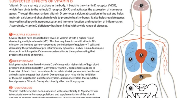 Effects Of Vitamin D Infographic F
