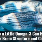 Even A Little Omega 3 Can Help Improve Brain Structure And Cognition F