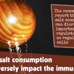 Excessive Salt Consumption Could Adversely Impact The Immune System