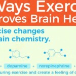 Exercise Helps To Protect Aging Synapses In The Brain F