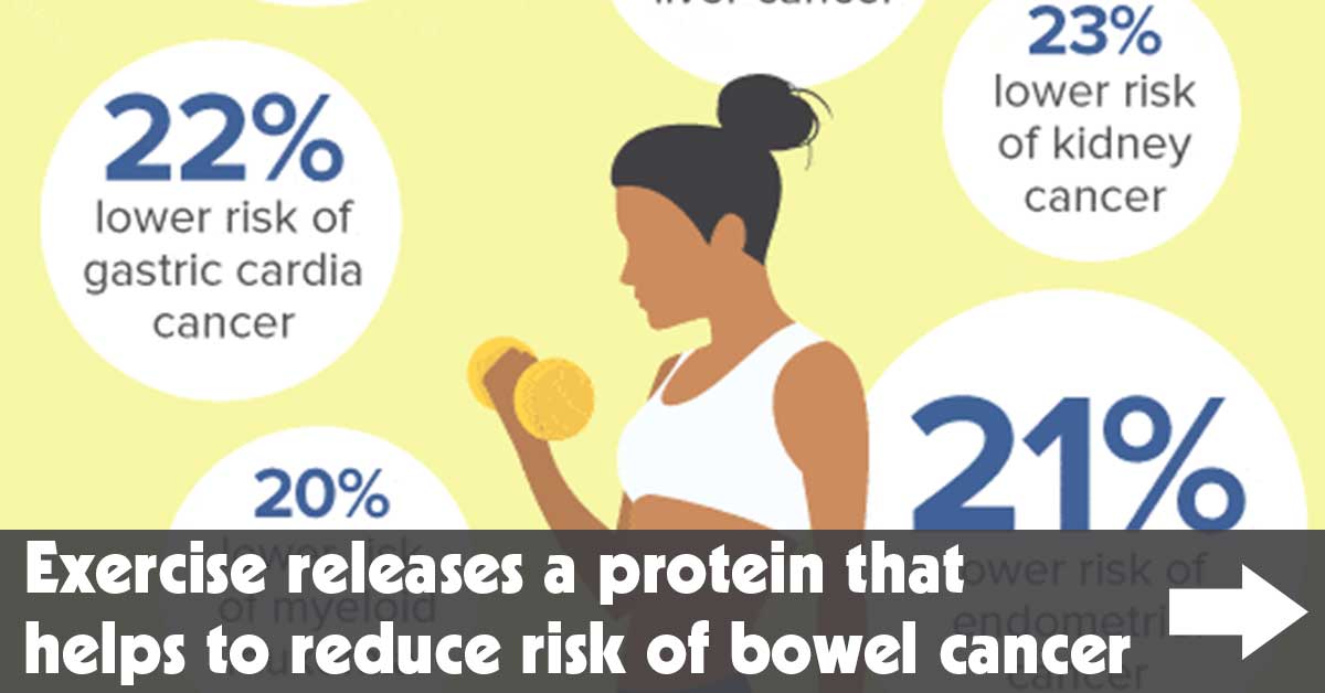 Exercise Releases a Protein That Helps to Reduce Risk of Bowel Cancer