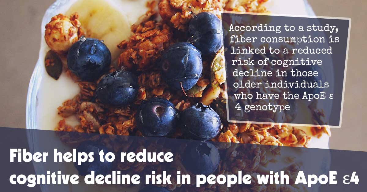 Fiber Helps To Reduce Cognitive Decline Risk In People With Apoe 4
