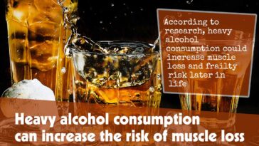 Heavy Alcohol Consumption Can Increase The Risk Of Muscle Loss F