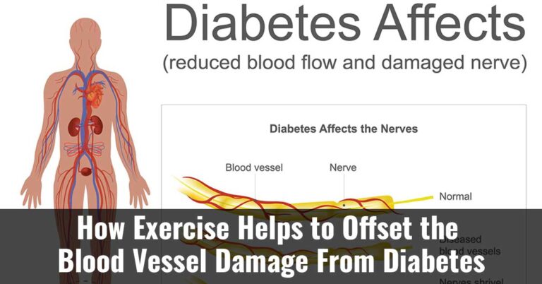 How Exercise Helps To Offset The Blood Vessel Damage From Diabetes