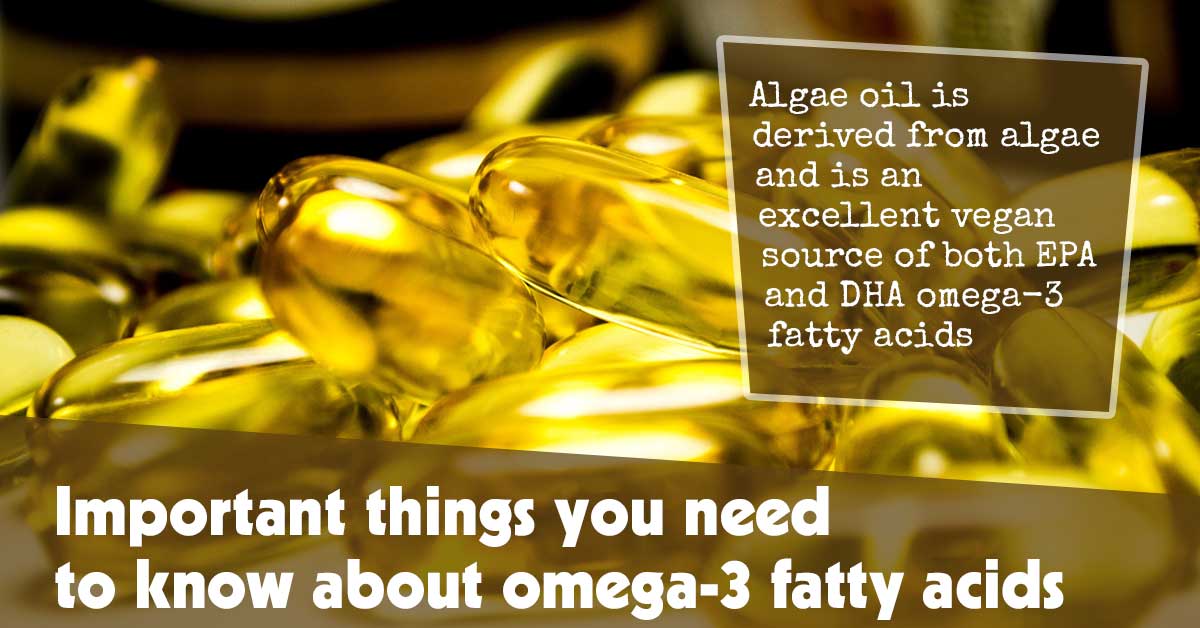 Important Things You Need To Know About Omega 3 Fatty Acids