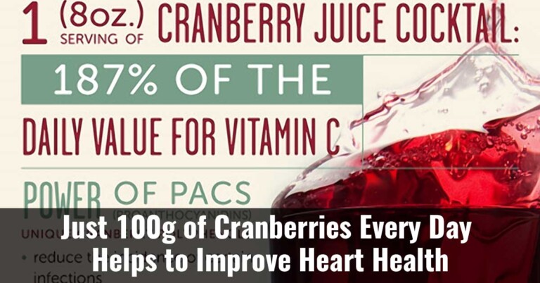Just 100g Of Cranberries Every Day Helps To Improve Heart Health