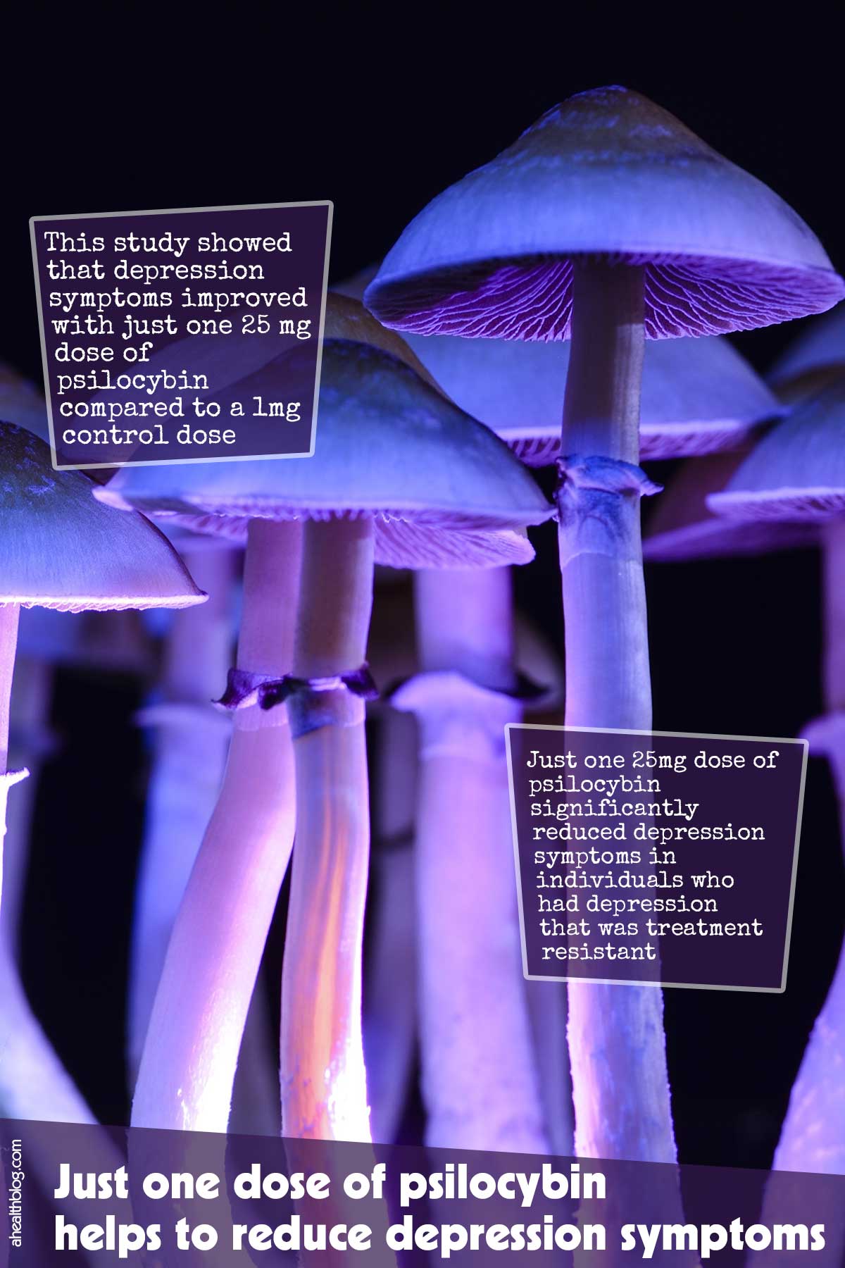 Just One Dose Of Psilocybin Helps To Reduce Depression Symptoms