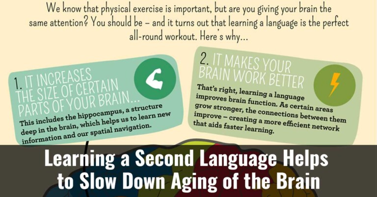 Learning A Second Language Helps To Slow Down Aging Of The Brain
