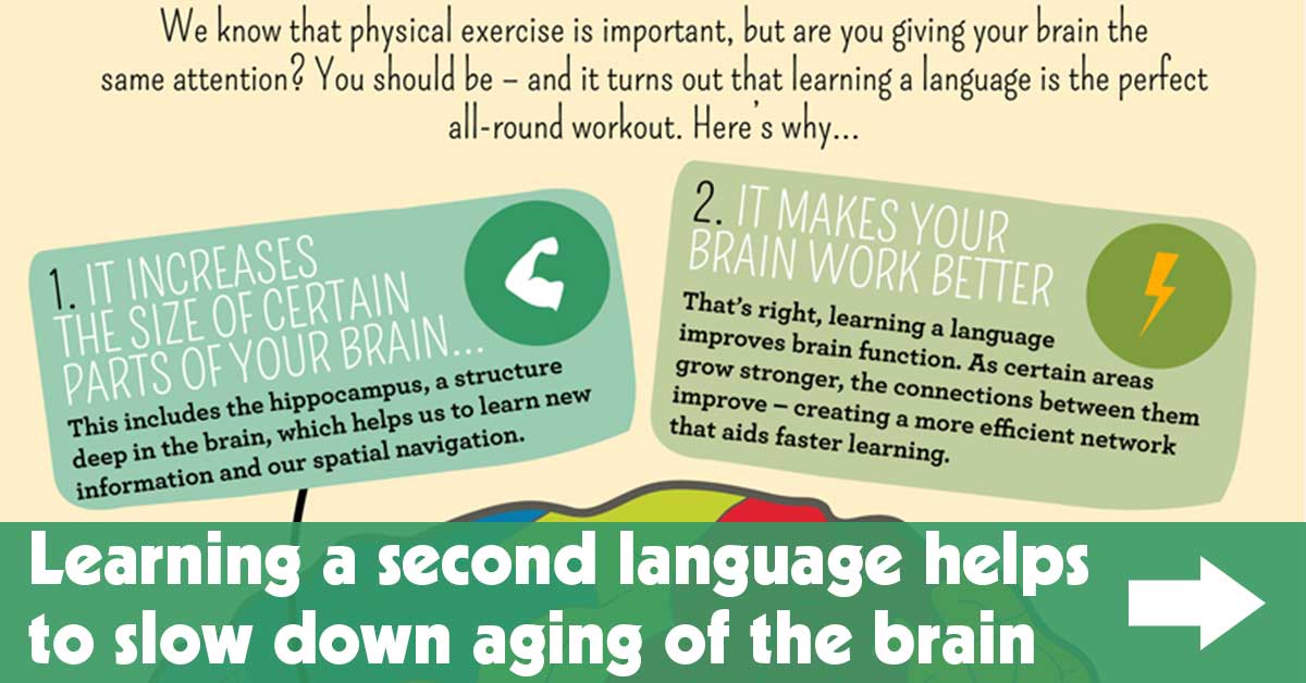 Learning a Second Language Helps to Slow Down Aging of the Brain